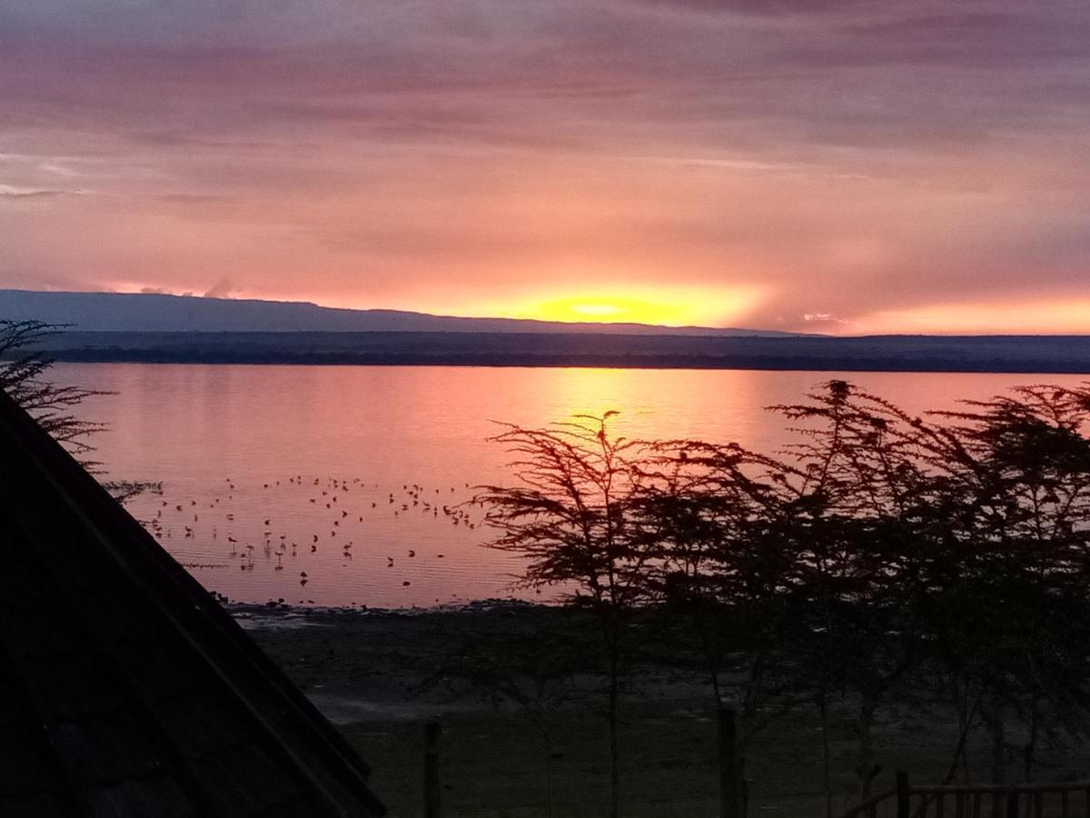 Sirville Lake Elementaita Lodge Gilgil Dış mekan fotoğraf